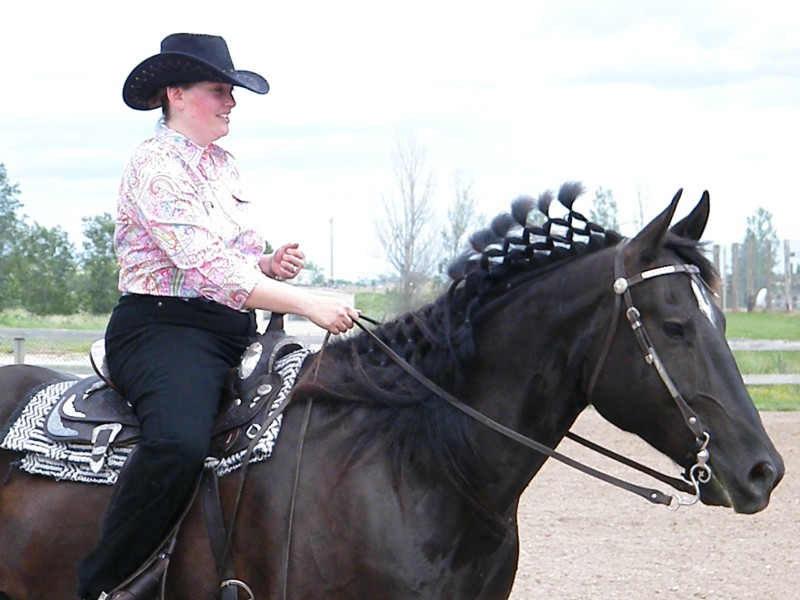 Friesian Heritage Horse Show